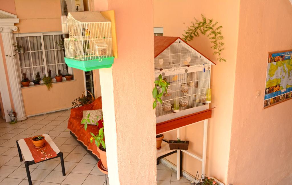 Hotel Dimitra Zeus レプトカリヤ エクステリア 写真